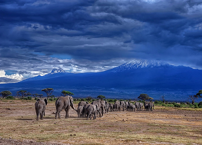 Parc national d’Amboseli : un petit bijou naturel à explorer