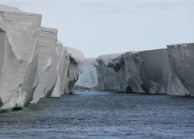 Barrière de Ross : découvrez cette île de glace