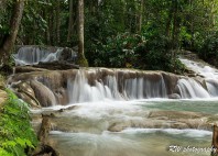 Chutes de la Dunn 