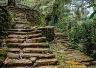 Ciudad Perdida 