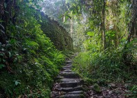 Ciudad Perdida 
