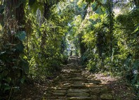 Ciudad Perdida 