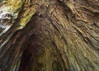 Grottes de Škocjan 
