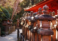 Kasuga-taisha 