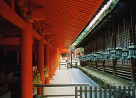Kasuga-taisha 