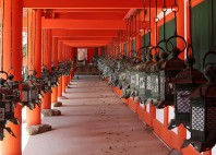 Kasuga-taisha 