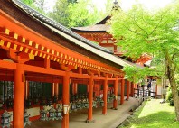 Kasuga-taisha 