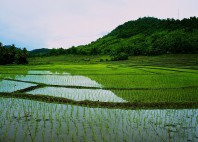 Luang Prabang 