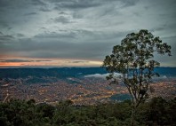 Medellin 