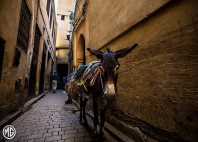 Médina de Marrakech 