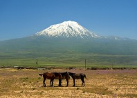 Mont Ararat 