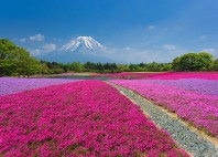 Mont Fuji 