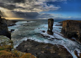 Orcades : des merveilles de la nature à découvrir