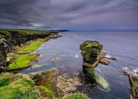 Orcades 
