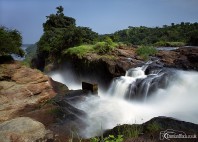 Parc national Murchison Falls 