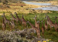 Parc national d’Arusha 