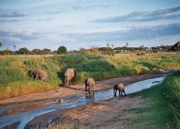 Parc national d’Arusha 