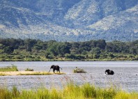 Parc national de Mana Pools 