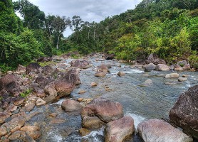 Parc national de Masoala : le plus grand parc de Madagascar