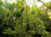 Parc national de Masoala 