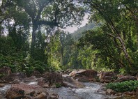 Parc national de Masoala 