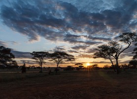 Parc national de Tarangire : au cœur de splendides paysages