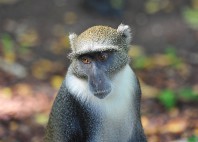 Parc national de Tsavo East 