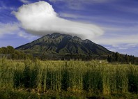 Parc national des volcans 