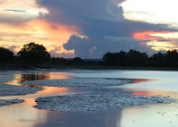 Parc national du sud Luangwa 
