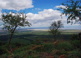 Parc national du lac Manyara : la perle tanzanienne !