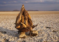 Parc national du lac Manyara 