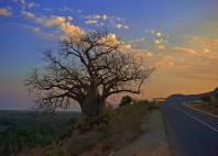 Parc national du lac Manyara 