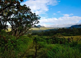 Parc national du mont Kenya : toucher le ciel africain