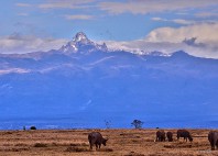 Parc national du mont Kenya 