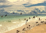 Plage de Nakupenda 