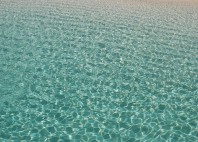 Plage de Nakupenda 