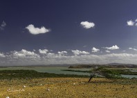 Punta Gallinas 