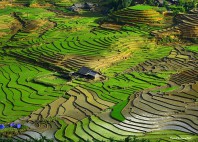 Sapa 