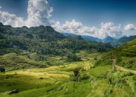 Sapa 
