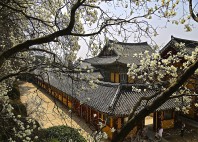 Temple Bulguksa 