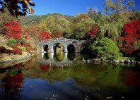 Temple Bulguksa 