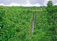Upolu 