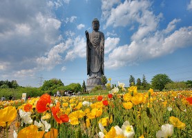 Ushiku Daibutsu : la plus haute statue de bronze du monde