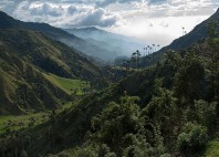 Vallée de Cocora 