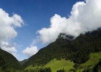 Vallée de Cocora 