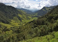 Vallée de Cocora 