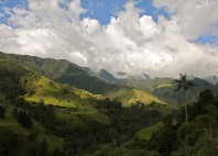 Vallée de Cocora 