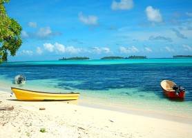 Vanuatu : au cœur d’un singulier paysage