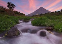 Mayon 