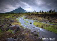 Mayon 